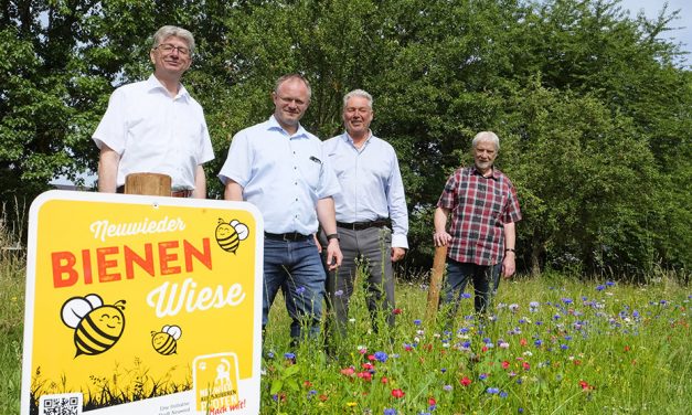 Stadt Neuwied: Artenvielfalt auch kommunale Aufgabe 