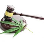 „Legal, aber…“ Das Cannabisgesetz in Deutschland