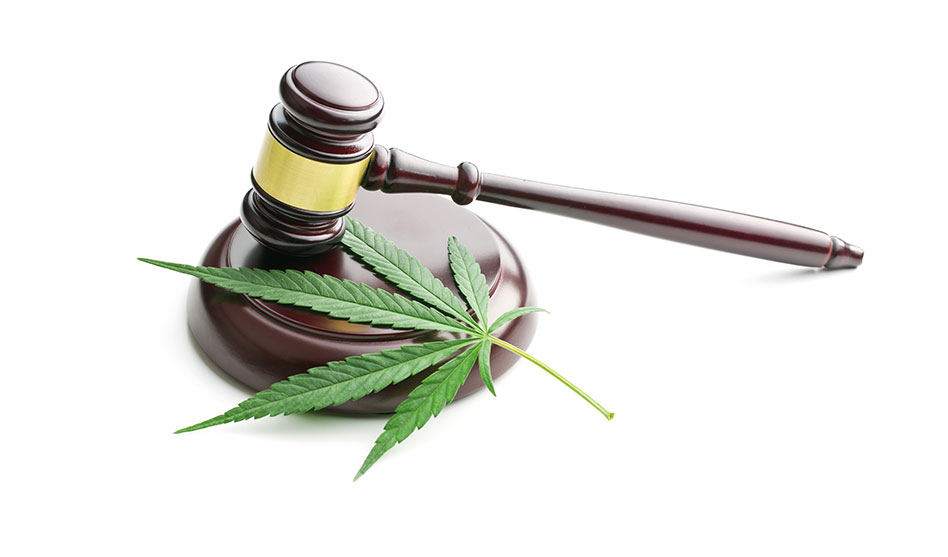 „Legal, aber…“ Das Cannabisgesetz in Deutschland