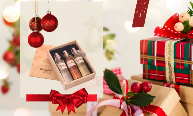 07.12. Adventskalender – TAG 07 – HoKi mit den 3/0,5l Bügelflaschen