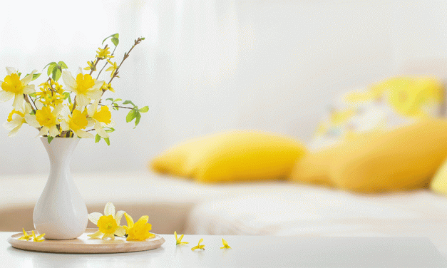 So holt ihr euch den Frühling ins Haus