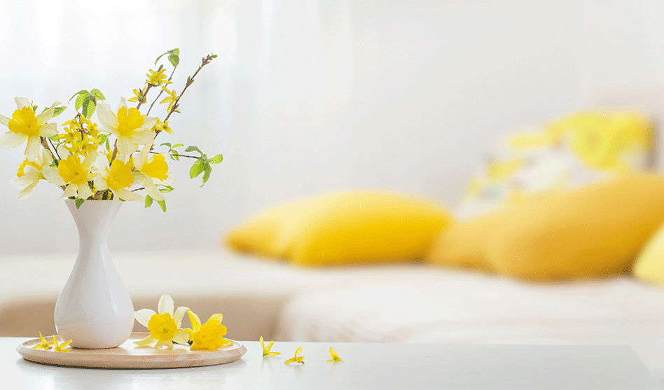So holt ihr euch den Frühling ins Haus