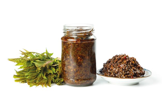 Umami & Fermentation