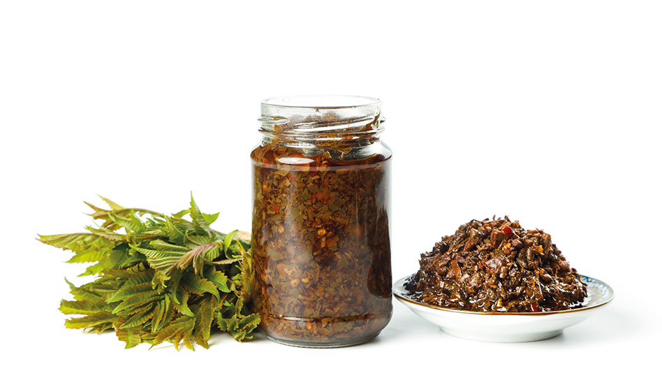 Umami & Fermentation